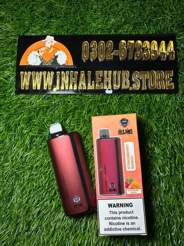 JOLS PLAY 8000 PUFFS